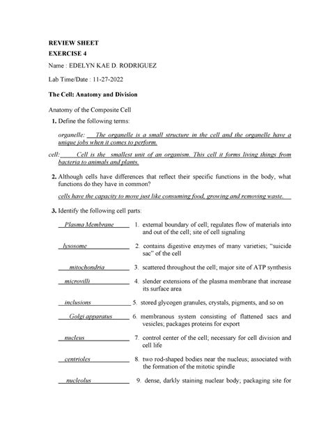 The Cell Anatomy And Division REVIEW SHEET EXERCISE 4 Name EDELYN