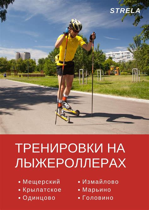 Тренировки лыжников летом - базовый период