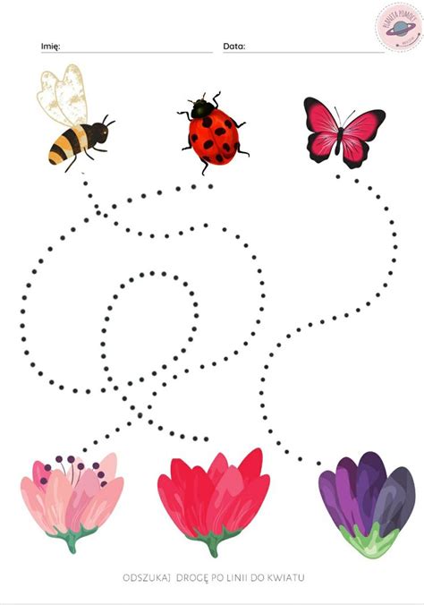 An Insect Dot To Dot Game With Four Different Bugs And Flowers On The