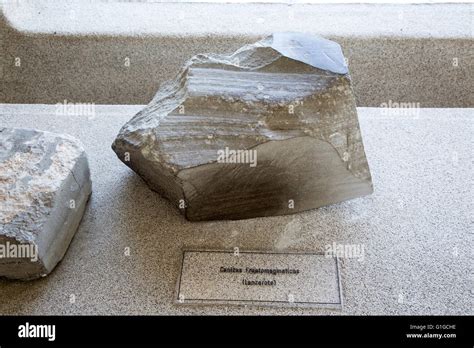 Geology Display Casa De Los Volcanes Volcanic Study Centre Hi Res Stock