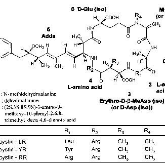 Structures of Microcystins. | Download Scientific Diagram