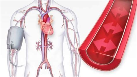 Que es la Tensión Arterial Todo lo que Necesitas SABER