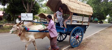 From Hikkaduwa To Sigiriya Dambulla One Day Tour Getyourguide