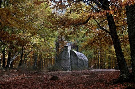 Castañar de el tiemblo ávila refugio de Vida sana EL MUNDO