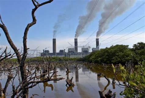 La Jornada La Cfe Generó En Tuxpan Una Contaminación De Clase Mundial