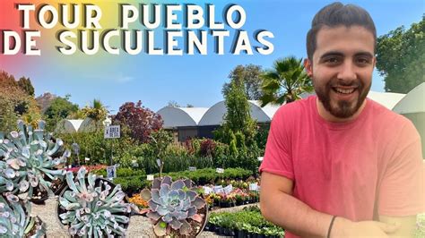 TOUR Por MERCADO De SUCULENTAS Y Otras PLANTAS GIGANTE Vivero