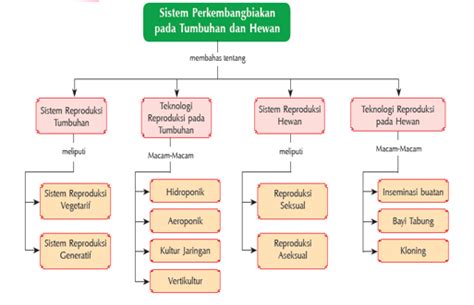 Sistem Perkembangbiakan Tumbuhan Dan Hewan Ilmu