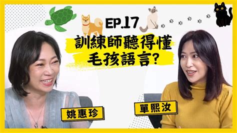 【人生逍姚遊】ep17 不在家就搗蛋？毛孩們真的不是故意找碴啦🐾〜〜訓練師教你如何解決寵物問題🐕‍🦺🐈 Ft 寵物訓練師單熙汝 Youtube