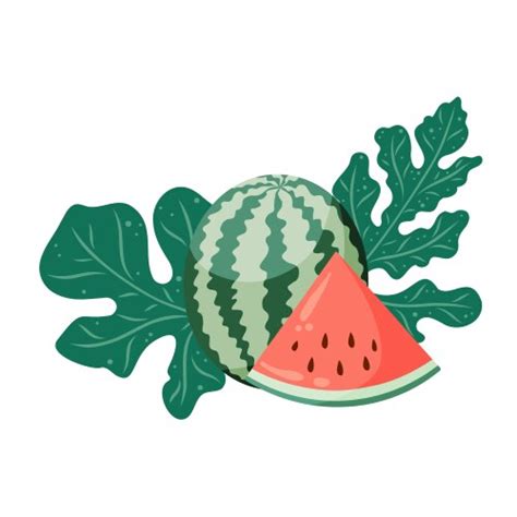 Watermelons Composition With Whole Watermelon Vector Image