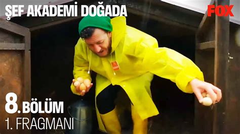 Şef Akademi Doğada 8 Bölüm 1 Fragmanı YouTube