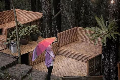 Tempat Wisata Alam Pijar Park Yang Hits Abis Di Kudus View Hutan Pinus