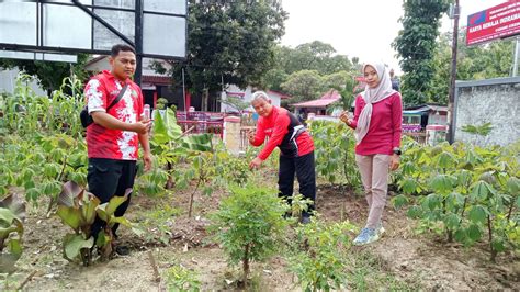 Tekan Inflasi Pemcam Terisi Dorong Warga Manfaatkan Lahan Ditanami