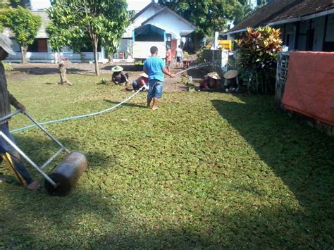 Penanaman Rumput Taman Di Halaman Belakang Pendopo Bupati Blitar Tahun