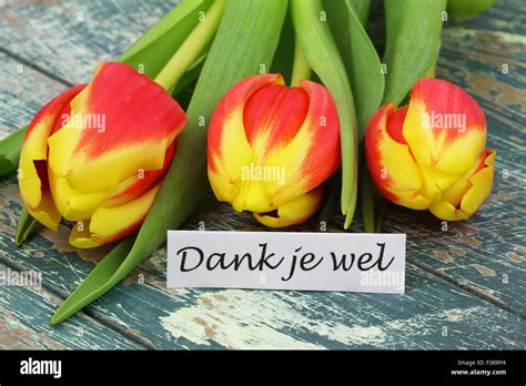 Dank Je Wel Which Means Thank You In Dutch Card With Red And Yellow