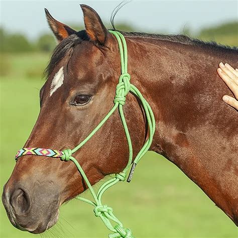 Cashel Cashel 9 Lead Rope And Beaded Rope Halter Wrs