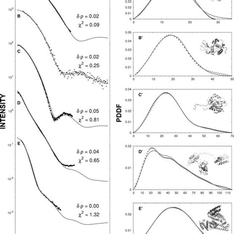 Comparison Of The Experimental Saxs Profiles With Those Obtained By The Download Scientific