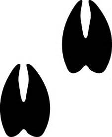 Deer Hoof Prints Vector - ClipArt Best