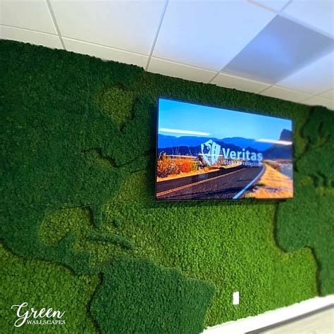 Custom Reindeer Moss Wall Green Wallscapes Moss On The Etsy