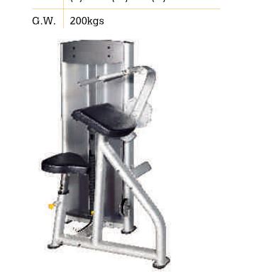 Triceps Extension Machine at best price in Ahmedabad by Raj Electronics ...