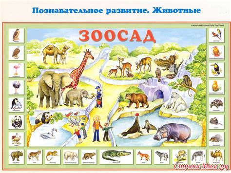 Плакаты для детей ("Клад" для детского сада) - Страна Мам