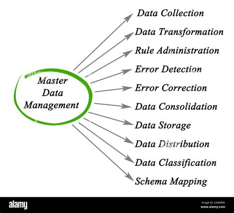 Master Data Management Process