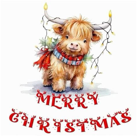 Highland Cow Merry Christmas Card