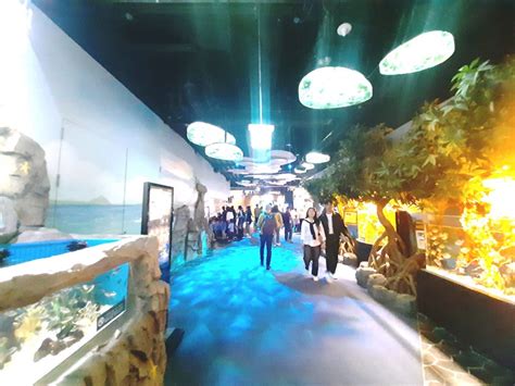 Lotte World Tower Aquarium Seoul South Korea Blast Live