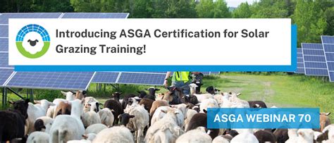 Introducing Asga Certification For Solar Grazing Training Asga Call