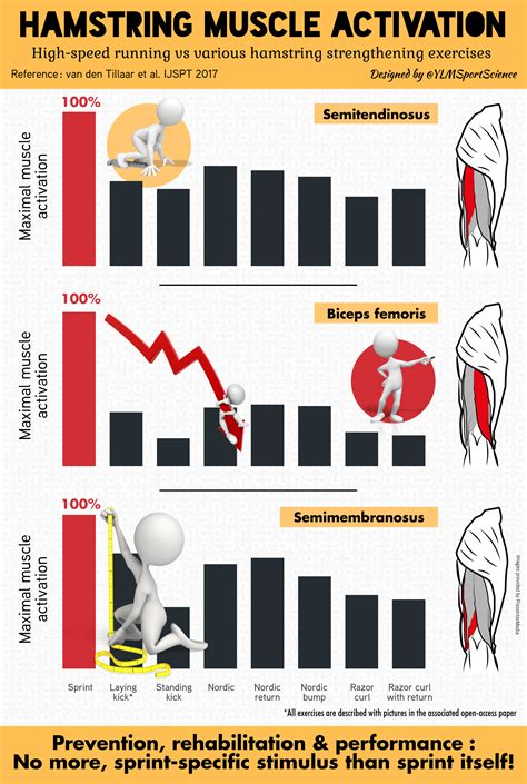 Hamstring muscle activation : High-speed running vs various hamstring