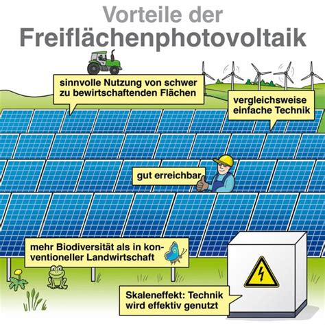 Photovoltaik auf Freiflächen