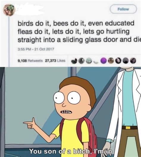 Im Bored So Fuck It Why Not Scrolller