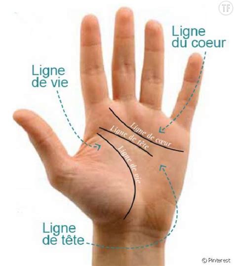 Que Signifient Les Lignes Sur La Paume De La Main Significations Fr