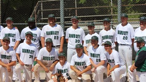 Brown City baseball ready for regional tourney | USA TODAY High School ...