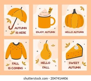 Set Summer Swimsuit Bikini Collection Vector Stock Vector Royalty Free 657837505 Shutterstock