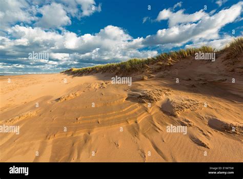 Sand Dune Blooming Point Beach Prince Edward Island National Park