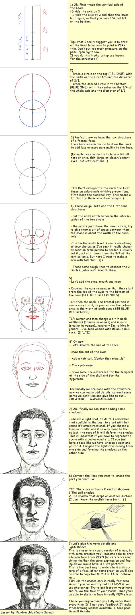 Anatomy: Head frontview by pandracchio on DeviantArt