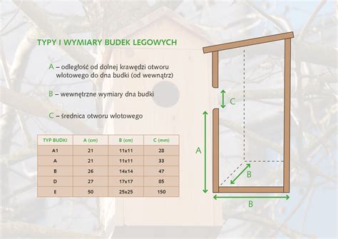 Czas powiesić budkę lęgową dla ptaków Grupa PSB materiały budowlane