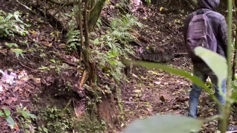 Hiking And Masturbating Pornhub Gay