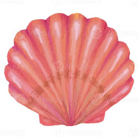 Shell Underwater Clip Art Element Transparent Background 24398467 Png