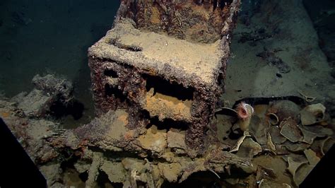 Shipwreck Found In Mexico Fox News