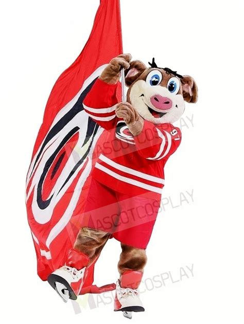 Carolina Hurricanes Stormy Mascot Costume