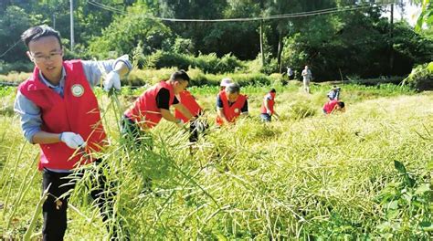 南充原木沟村：手拉手真情帮扶 心连心传递温暖 中国好故事