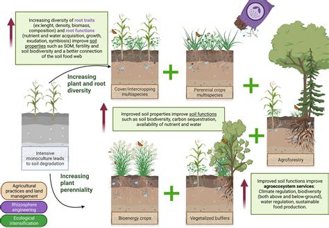 Frontiers Restoring Soil Functions And Agroecosystem Services Through