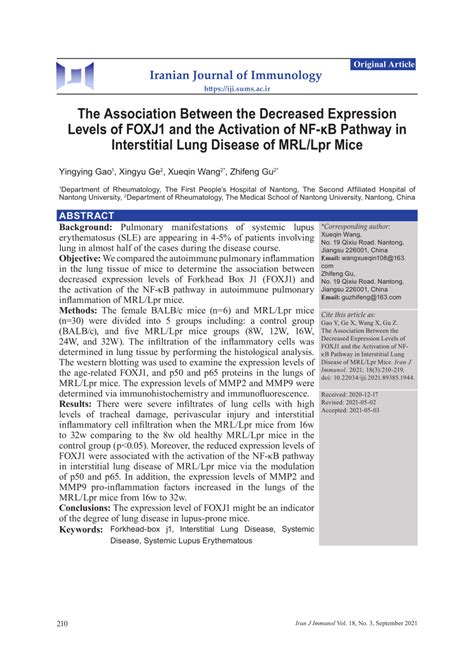 PDF The Association Between The Decreased Expression Levels Of FOXJ1