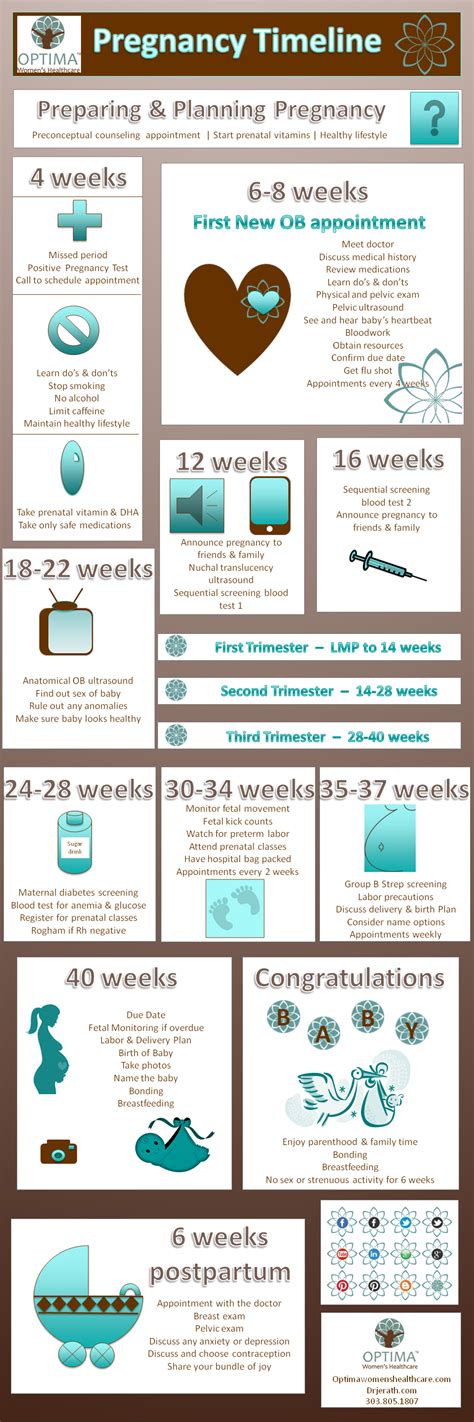 Optimawhc Pregnancy Timeline For Preparing And Planning Pregnancy