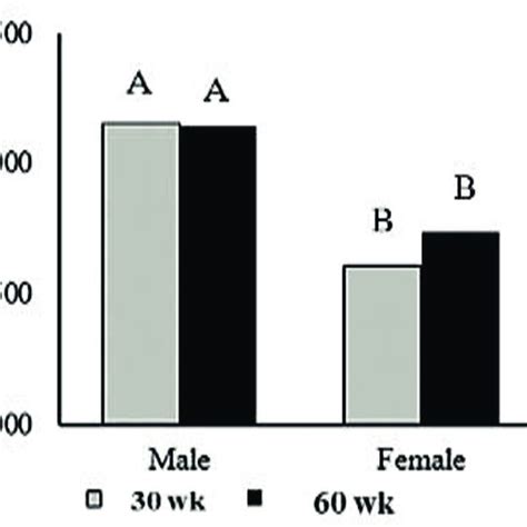 Interaction Effects Of Breeder Age And Sex On Body Weight At 42 Days Of