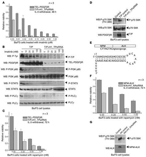 JCI Stable expression of small interfering RNA sensitizes TEL PDGFβR