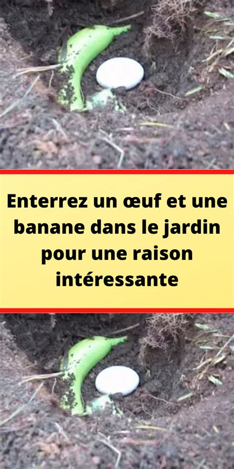 Comment Faire Un Engrais Naturels Pour Fertiliser Vos Plantes Artofit