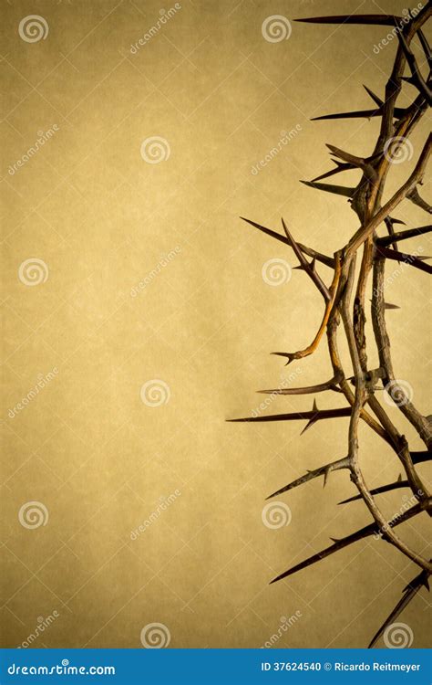 Crown Of Thorns Represents Jesus Crucifixion On Good Friday Stock Photo