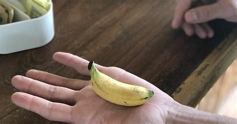 Costa Rican Bananas Are Not To Scale Average Banana For Scale Album On Imgur